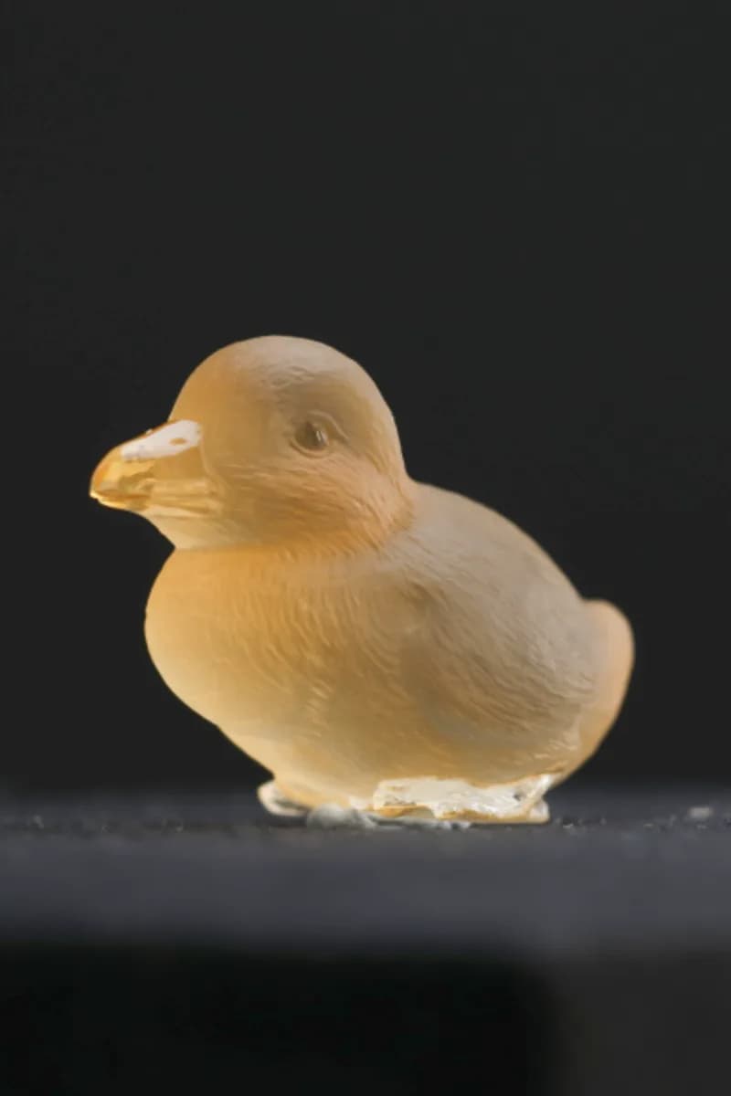 Pato en citrino — Citrino — Tallas