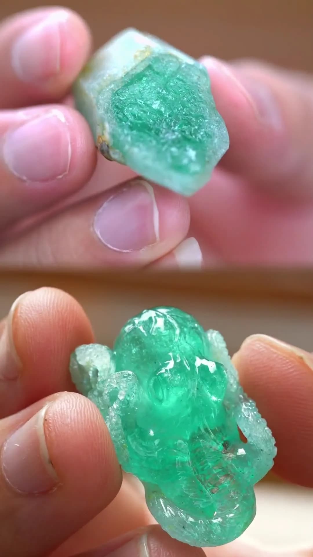 Emerald Octopus