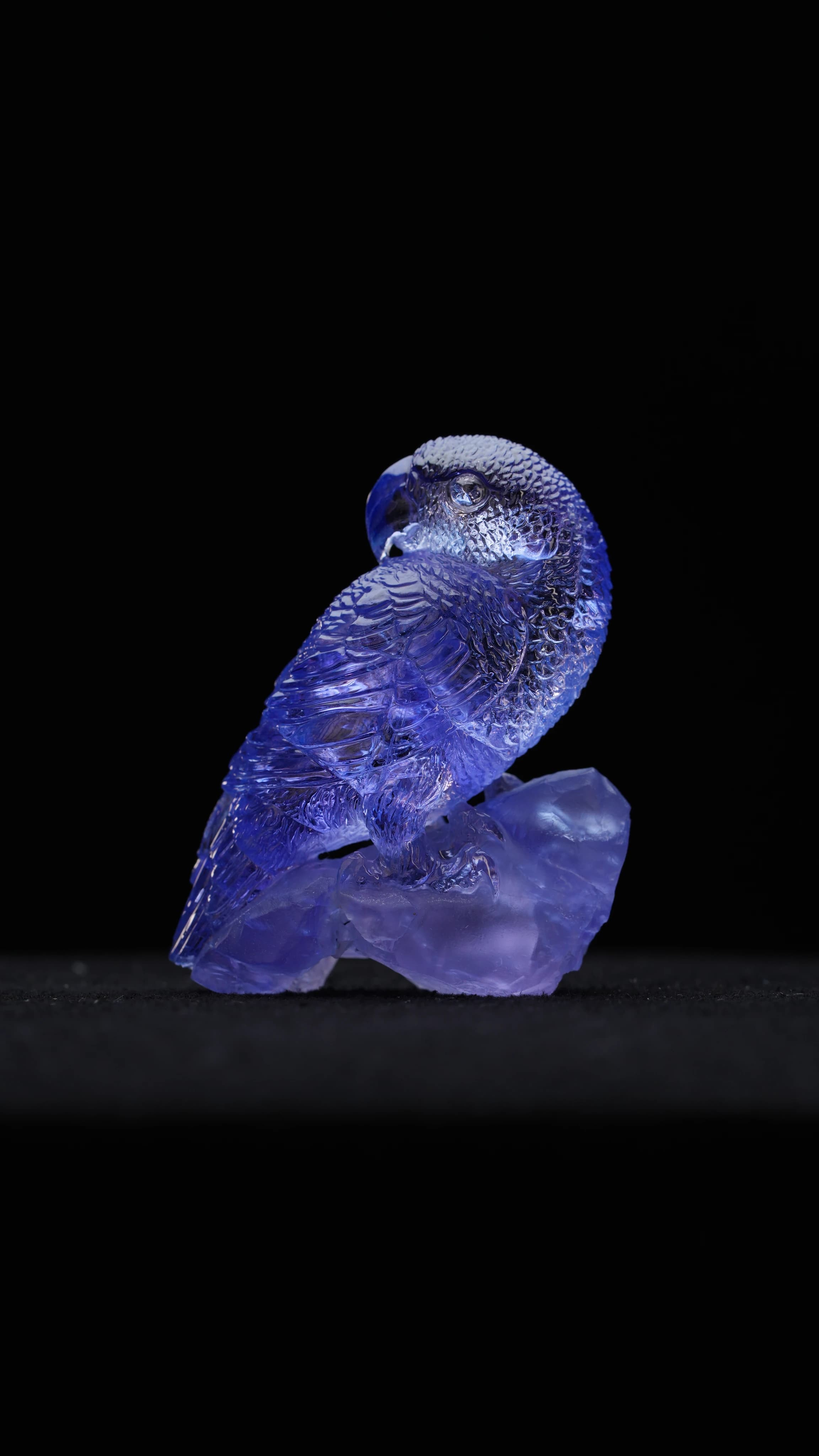 Tanzanite Parrot — Tanzanite — Carvings