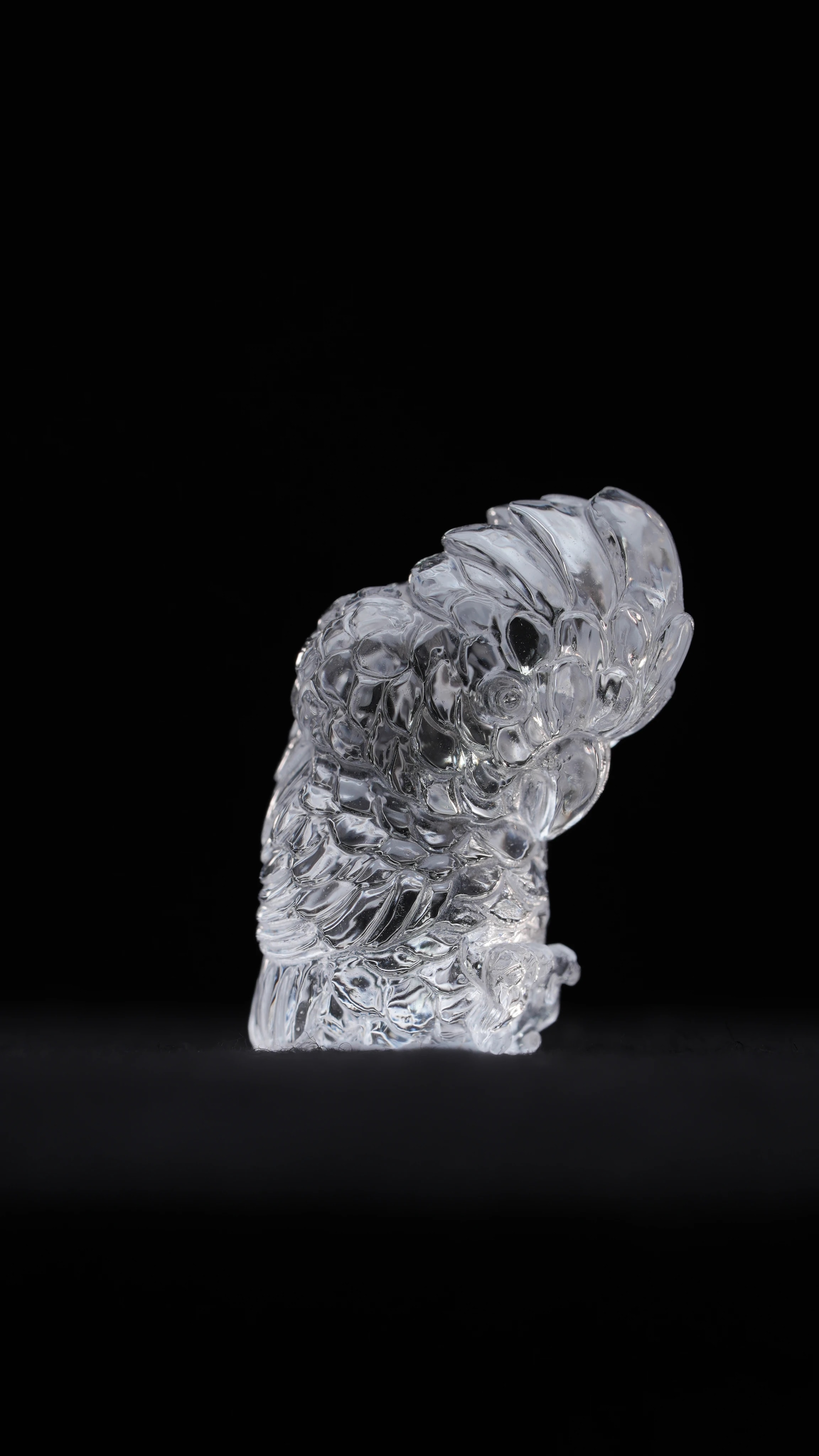 Clear Quartz Parrot — Clear Quartz — Carvings